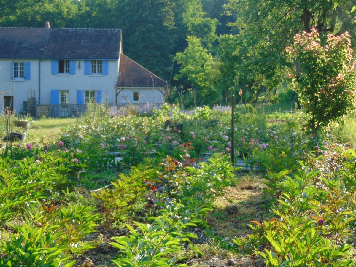 Fleurs De Brenne Gite Neuillé-le-Lierre 외부 사진